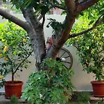 Ivanovi Πανσιόν 3*