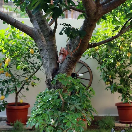 Ivanovi ゲストハウス 3*