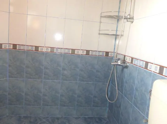 招待所 Ivanovi 切尔诺莫雷茨